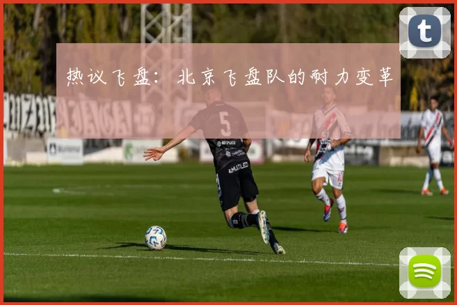 热议飞盘：北京飞盘队的耐力变革